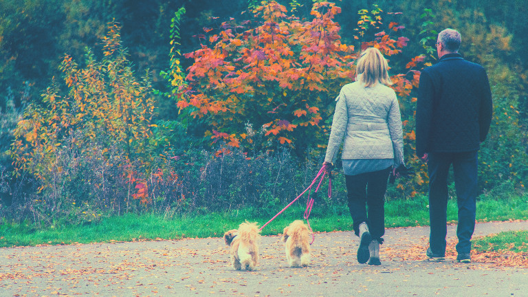 2 persons walking with 2 dogs on a leash